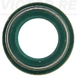 Seal Ring, valve stem